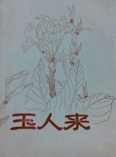 玉人來(豆瓣讀書網小說)