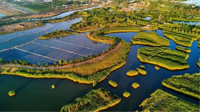 馬踏湖濕地