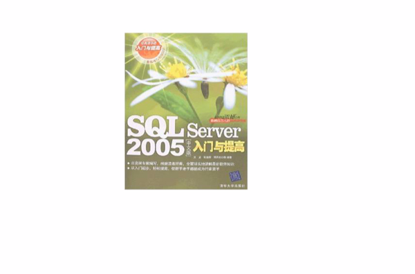 SQL Server 2005中文入門與提高