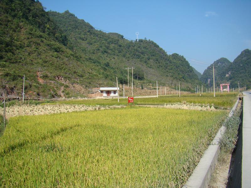 里吉街自然村