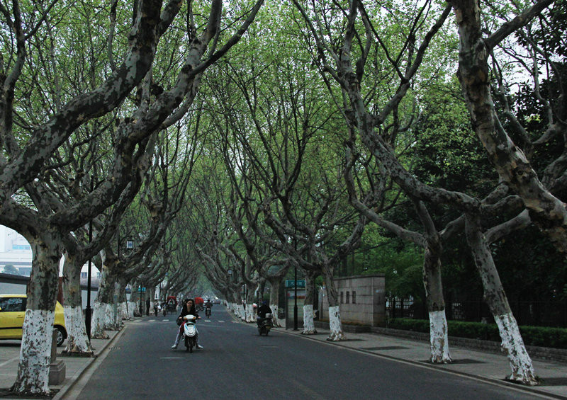 公園路(蘇州公園路)