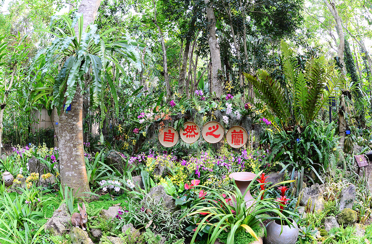 中國科學院西雙版納熱帶植物園