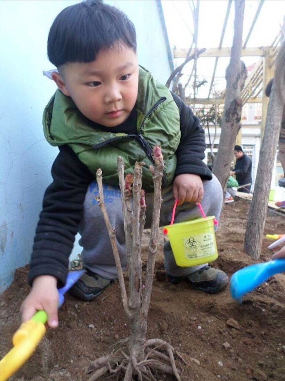 濟南綠野仙蹤生態幼稚園