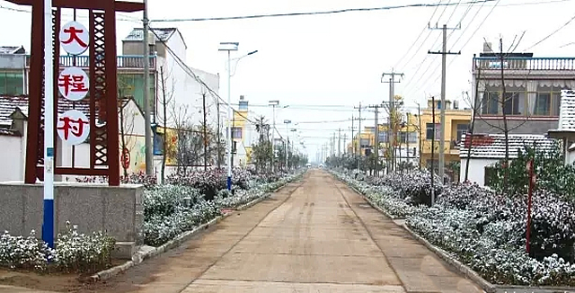 大程村(安徽合肥市巢湖市烔煬鎮下轄村)