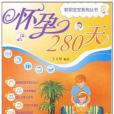 懷孕280天(2007年中國婦女出版社出版的圖書)