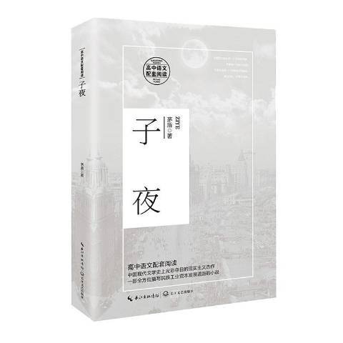 子夜(2020年長江文藝出版社出版的圖書)