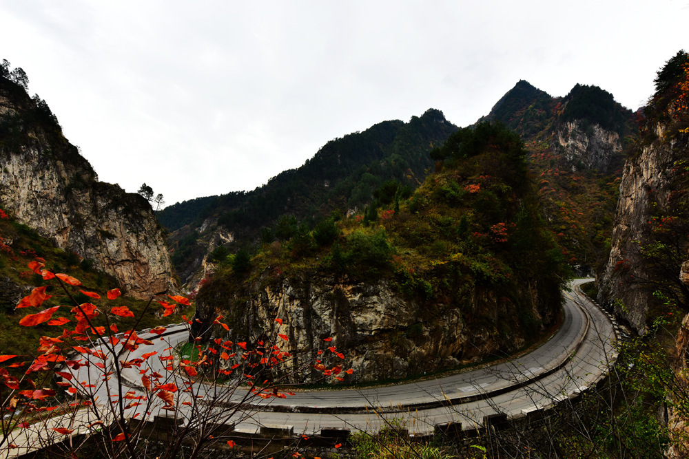 秦嶺古道