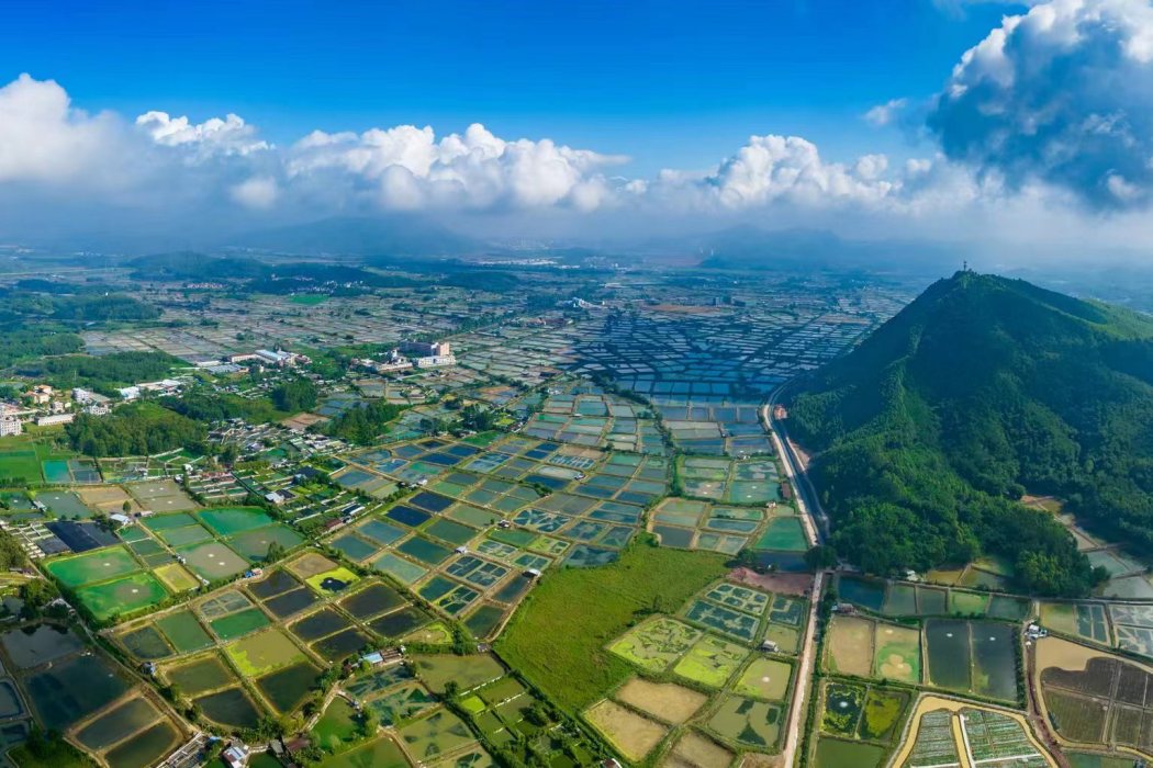 廣東省肇慶市高要區現代農業產業園