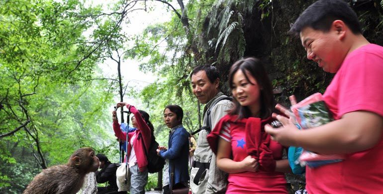 五一張家界旅遊攻略網