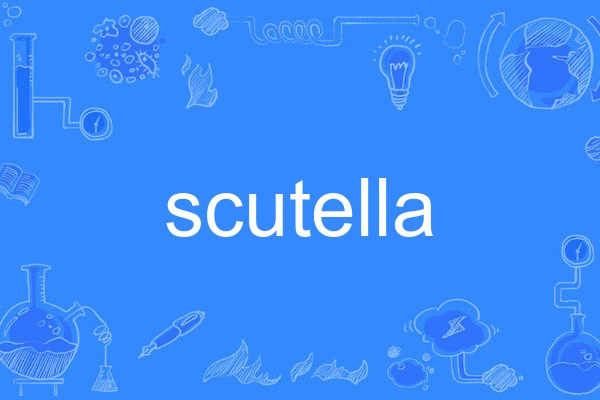 scutella