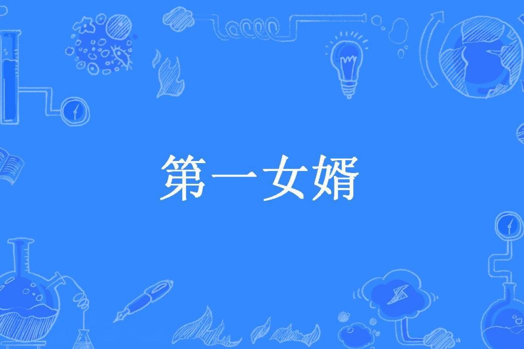 第一女婿(非二所著小說)