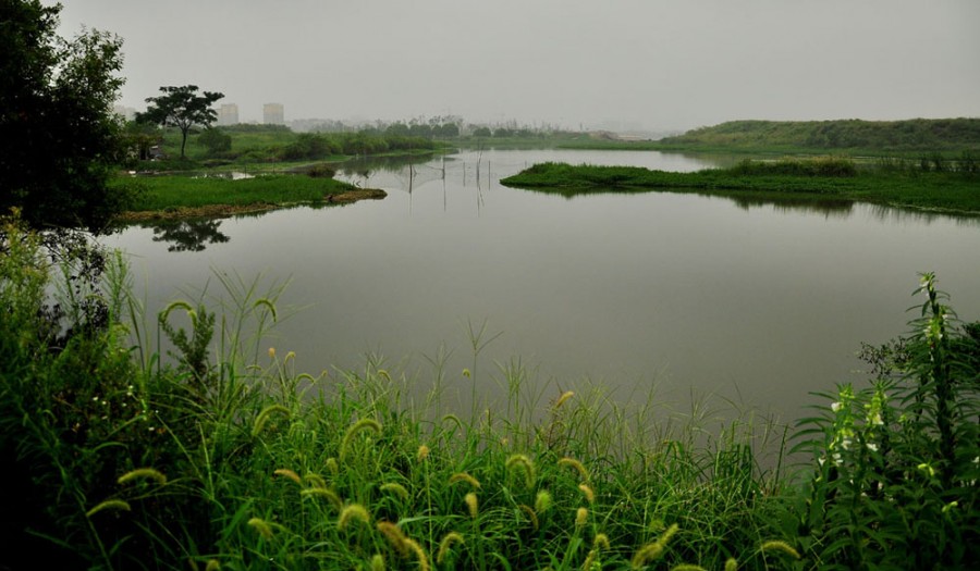 大陽垾濕地公園