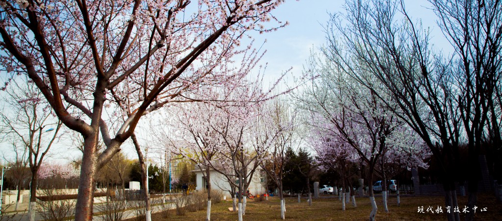 遼寧現代服務職業技術學院校園風景