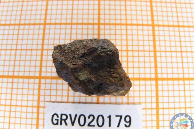 南極隕石GRV020179
