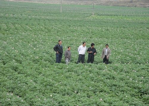 大樹寨村(雲南省德宏州梁河縣芒東鎮那勐行政村)