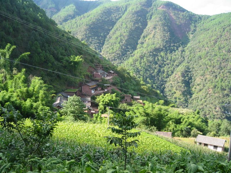 黑箐村(雲南富民縣羅免鄉下轄村)