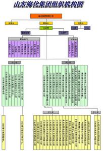 海化集團組織機構