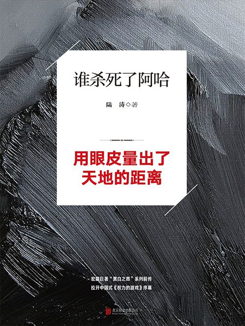 誰殺死了阿哈(陸濤創作的網路小說)