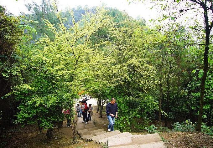 尖刀山森林公園