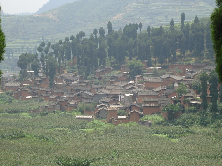 鄉村全貌