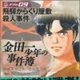 金田一少年の事件簿File(2004年11月講談社出版的圖書)