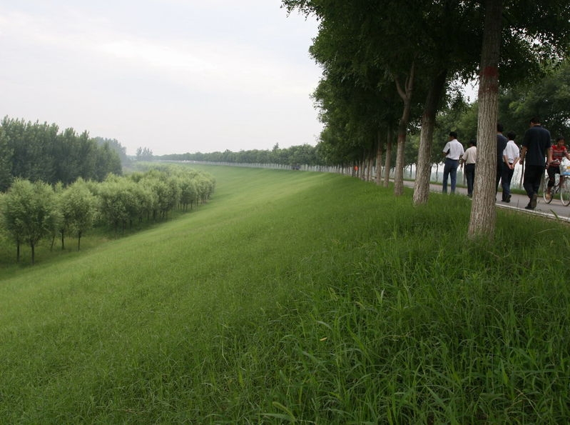 艾山黃河大堤