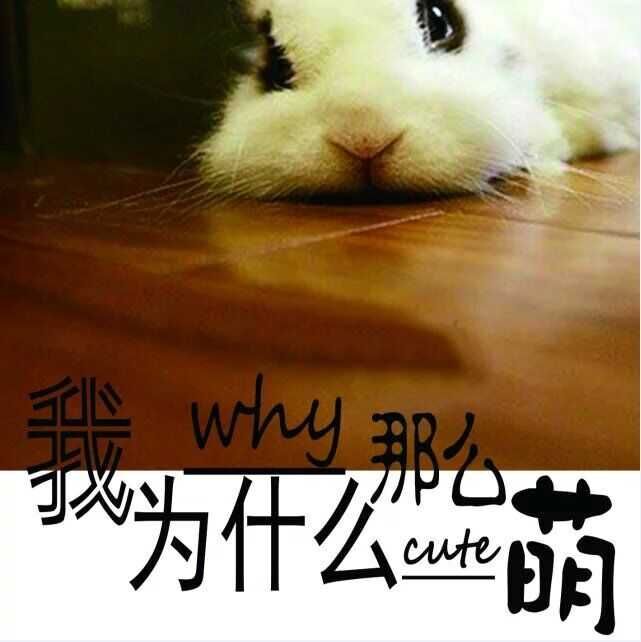 我為什麼那么萌