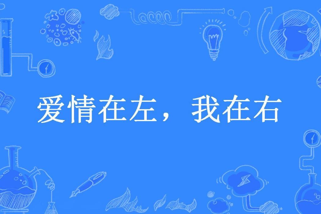 愛情在左，我在右(沙琪瑪所著小說)