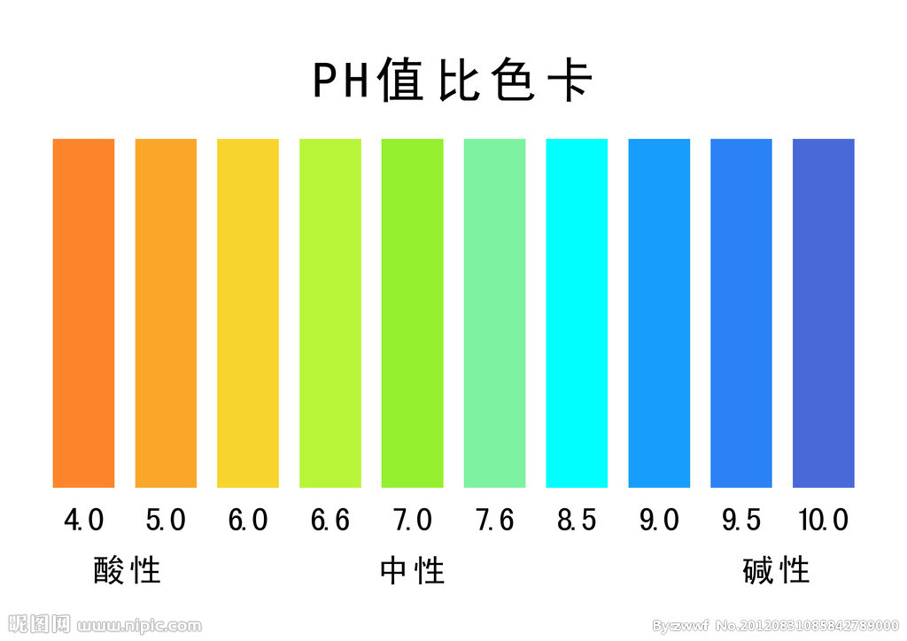 鹼性洗髮水