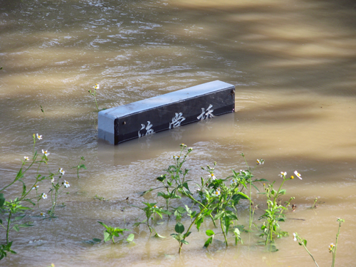 2008年洪水淹沒了海棠橋