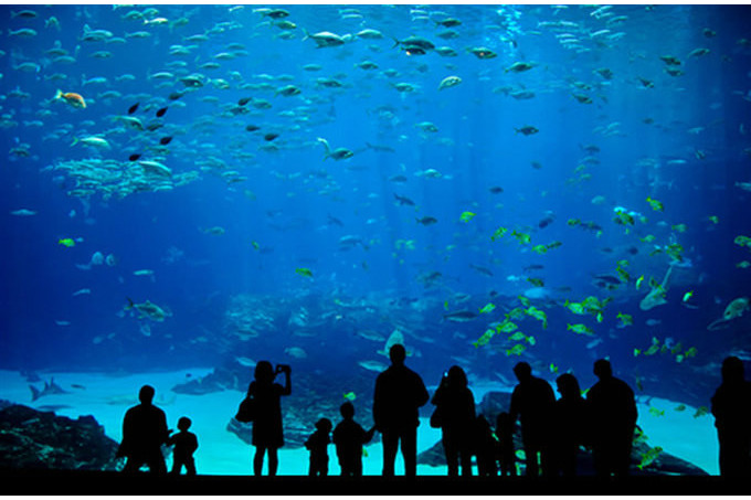 邁阿密水族館