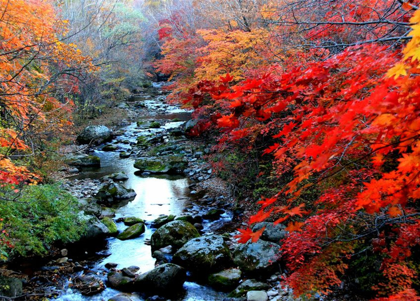 堯山(堯山景區)