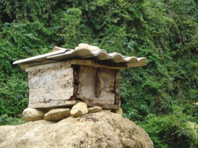 下壩戶村特色產業-養殖業-養蜂