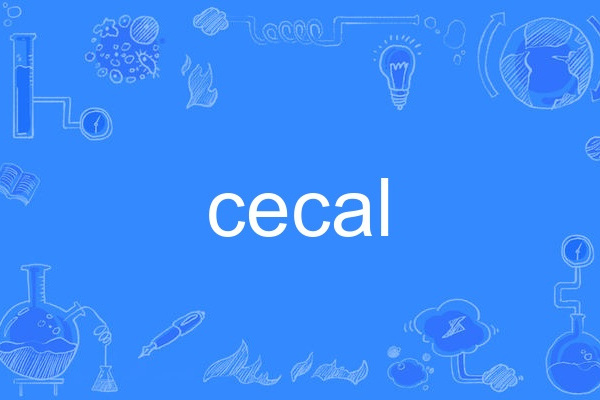 cecal