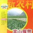 高山蔬菜栽培