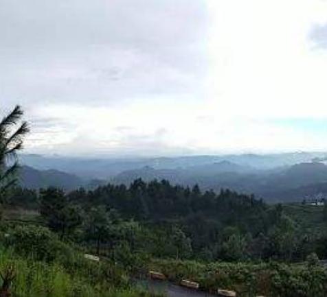 碗廠村(雲南省昭通彝良縣樹林鄉碗廠村)