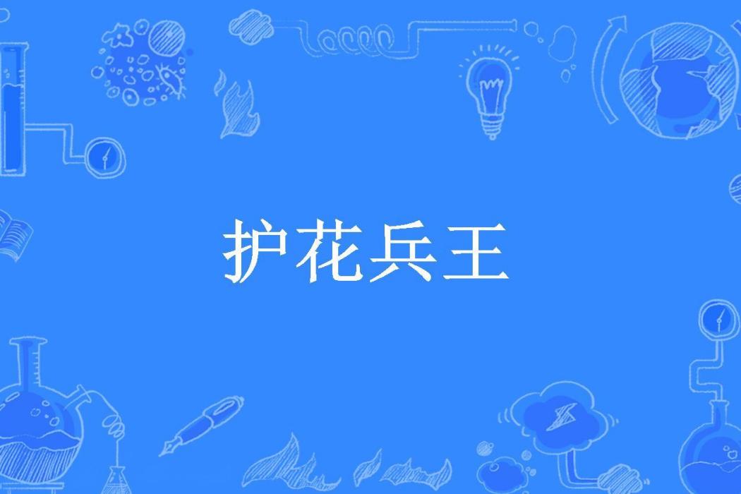 護花兵王(無心插柳所著小說)