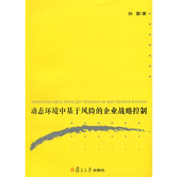 動態環境中基於風險的企業戰略控制