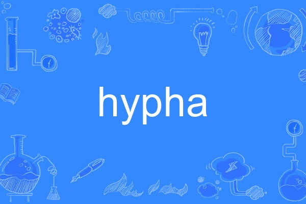 hypha