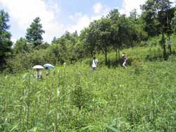 小坪森林公園