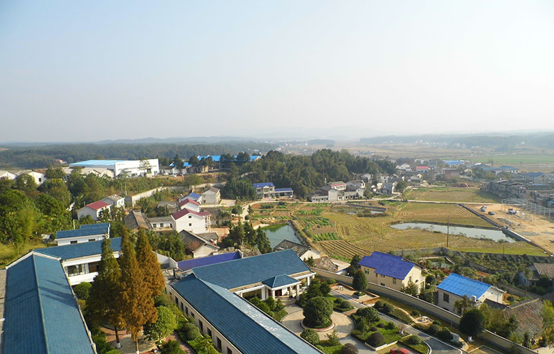 金井村(福建省莆田市仙遊縣金井村簡介)