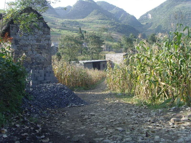 大山自然村(雲南保山施甸縣舊城鄉大山村委會大山自然村)