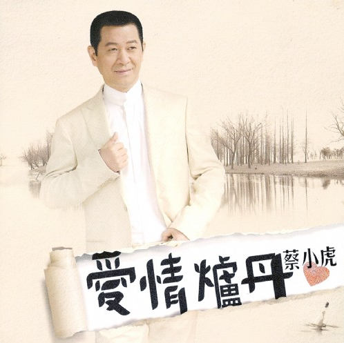 愛情爐丹(2008年蔡小虎發行的專輯)