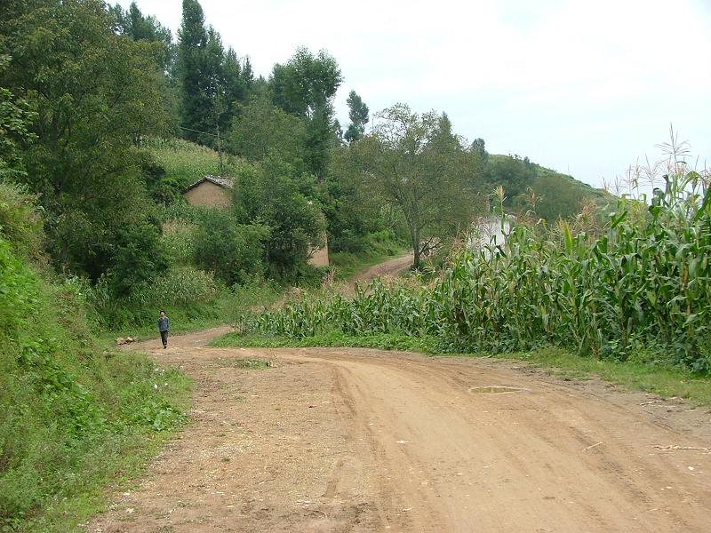 村內道路