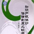 智慧財產權保護法律制度比較研究