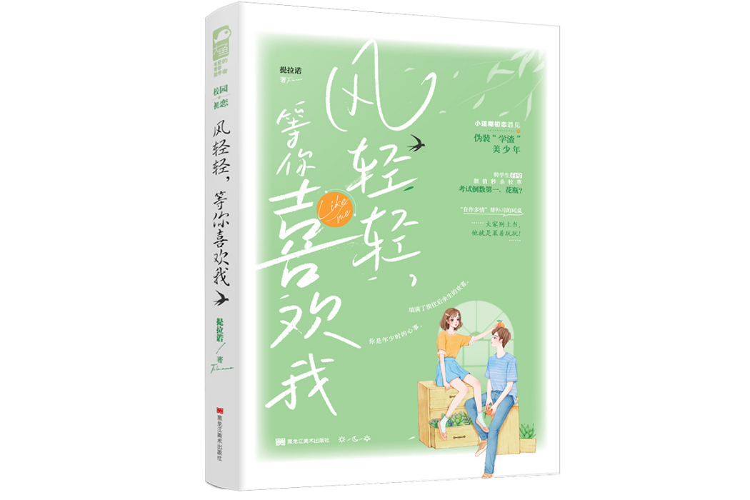 風輕輕，等你喜歡我(書籍)