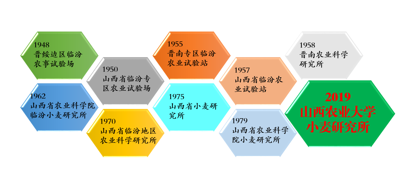 山西農業大學小麥研究所