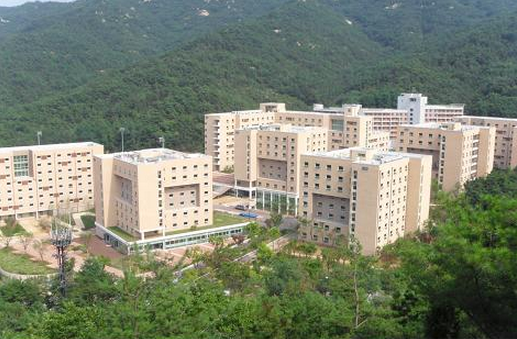 首爾大學(首爾大學校)