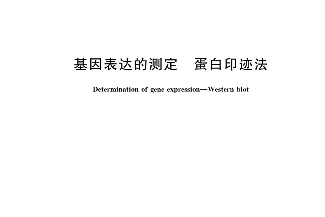 基因表達的測定—蛋白印跡法