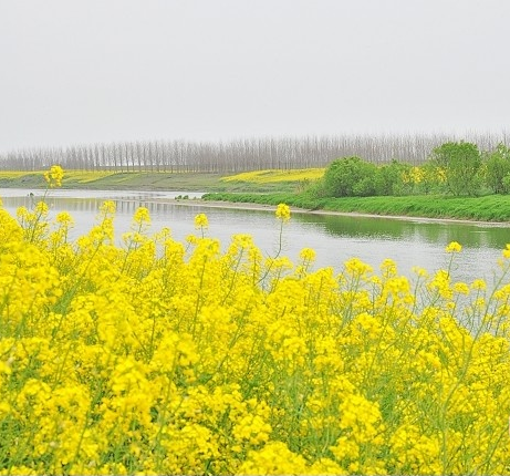 湖北江漢平原